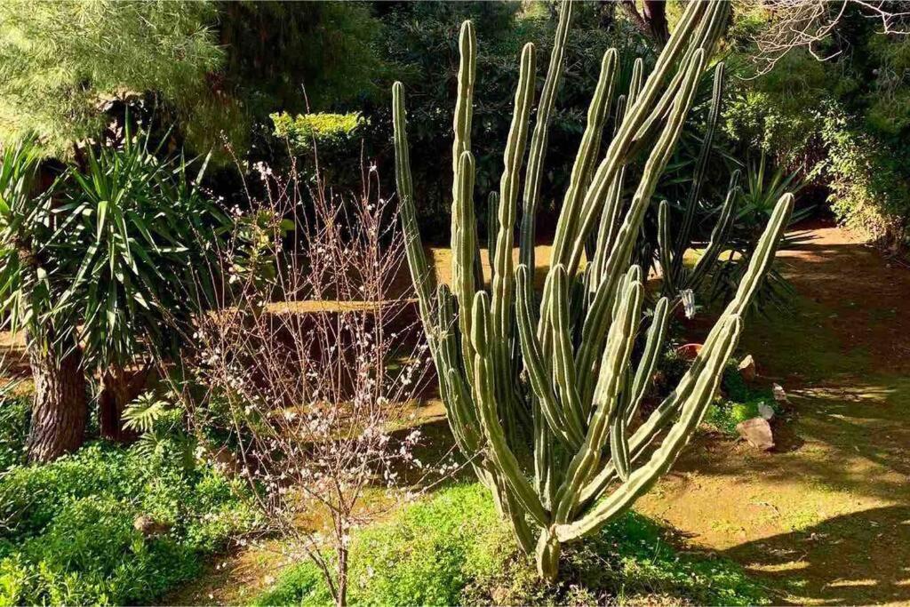 Athens Riviera Garden Views Apartment #Unoblu Extérieur photo